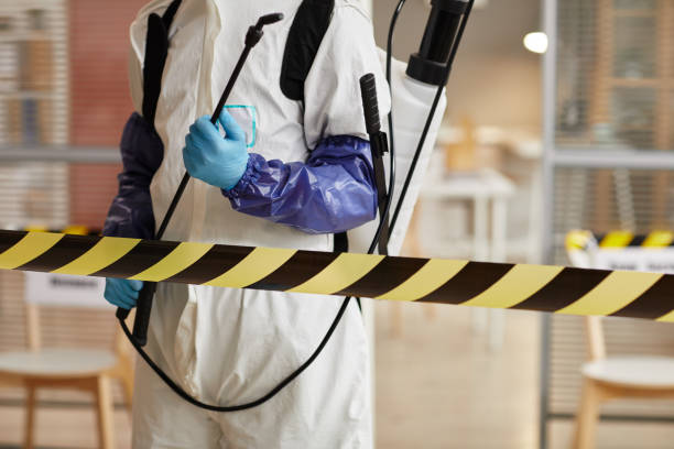 Professional Sewage Cleanup technician working in Greenville, FL